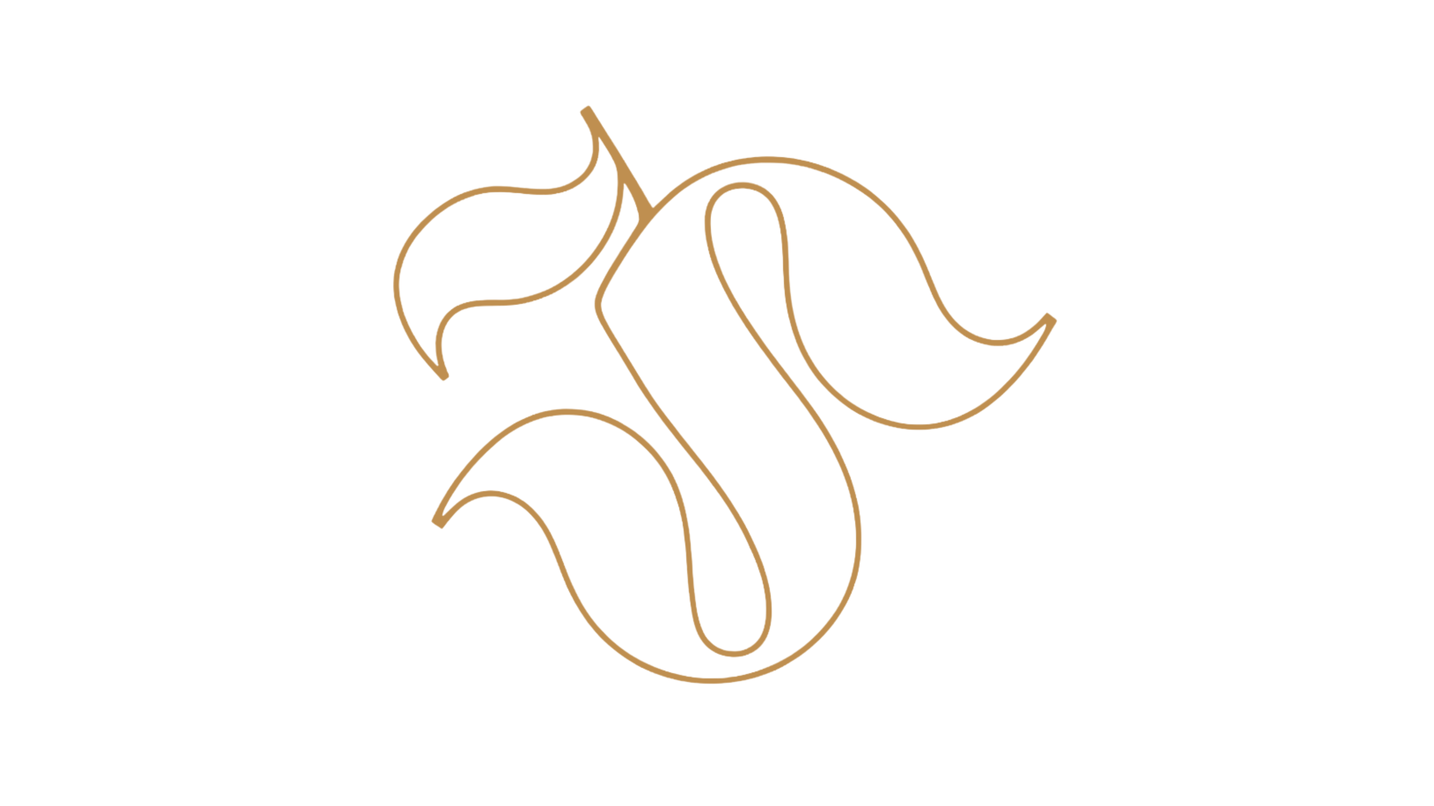 Selah Logo